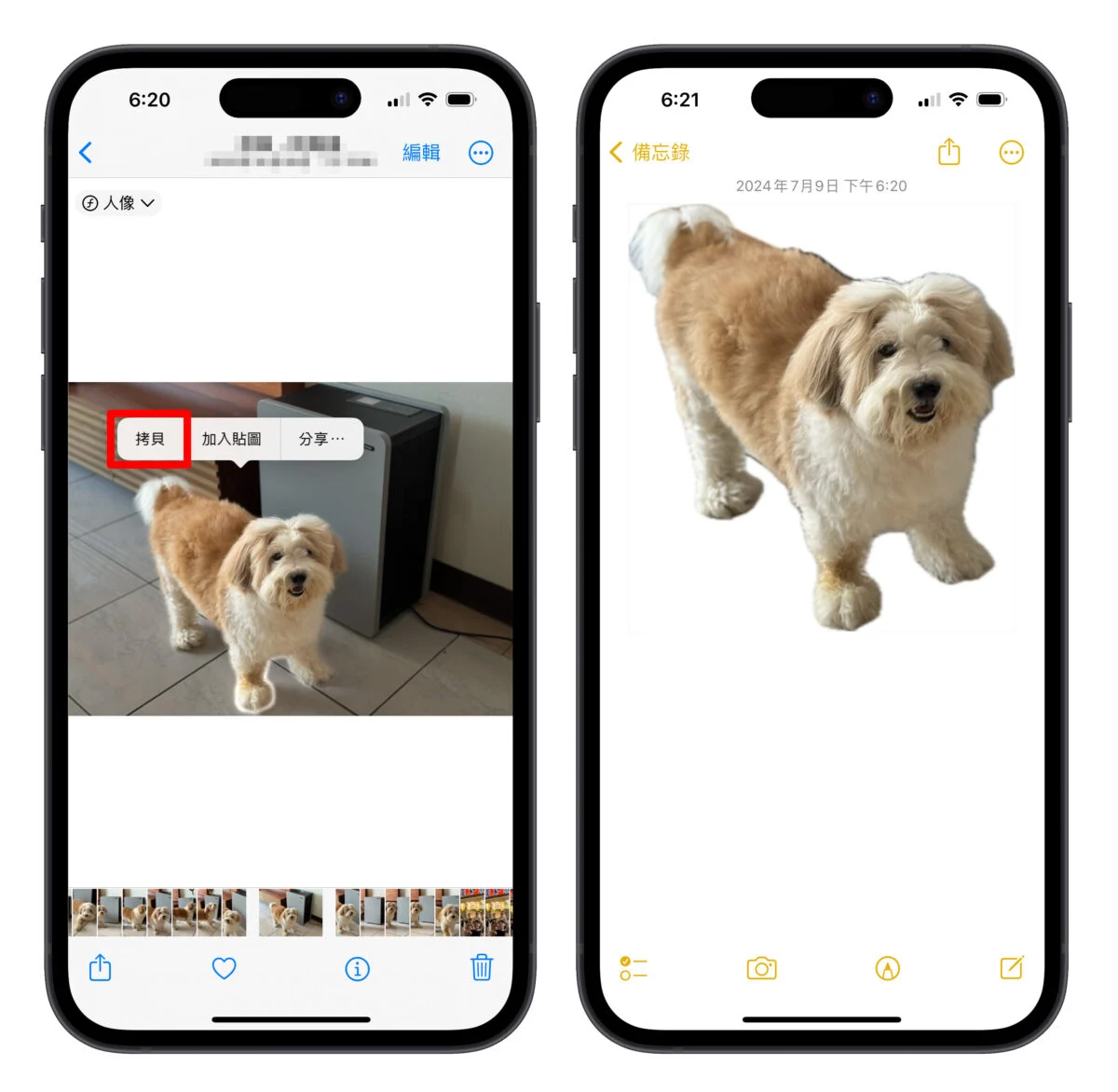 iPhone 照片去背完整教学：免下载 App、自带相簿帮你一键照片去背景 - 随时搬砖