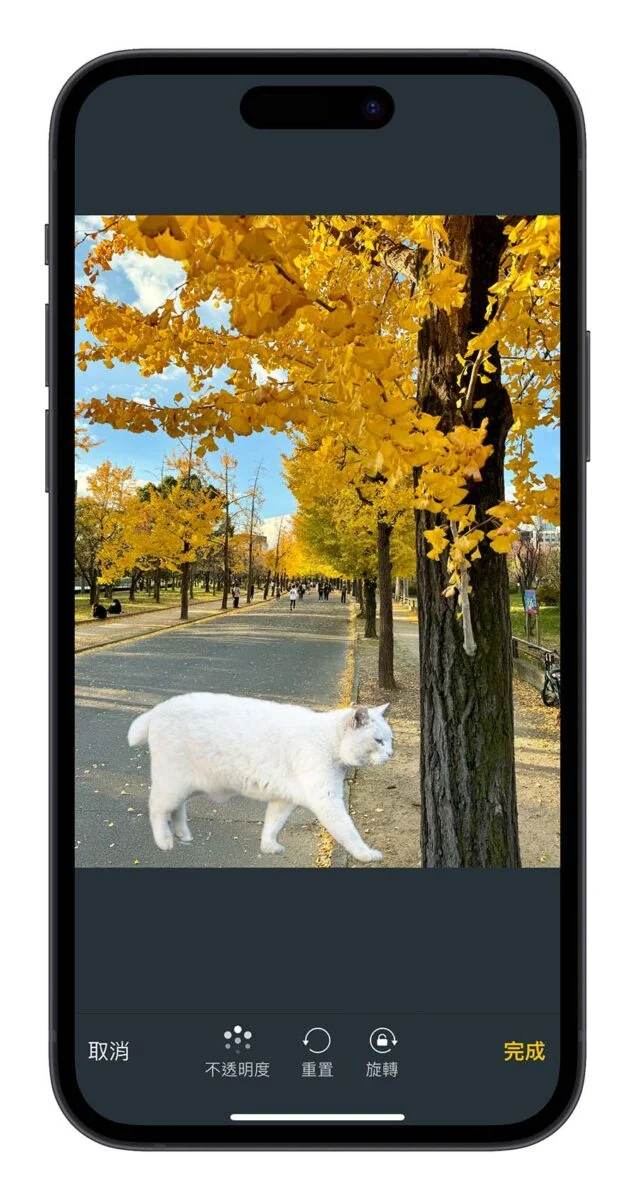 iPhone 照片去背合成捷径分享：去背顺便换背景，轻松打造更有趣的图片情境 - 随时搬砖