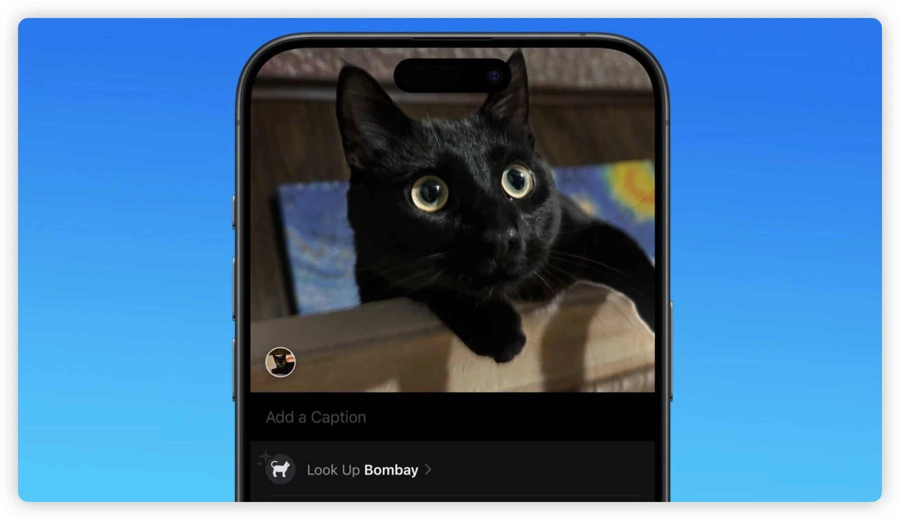 广告自己移除，还能整理重点！带你了解 iOS 18 的 4 个强大 AI 新功能 - 随时搬砖
