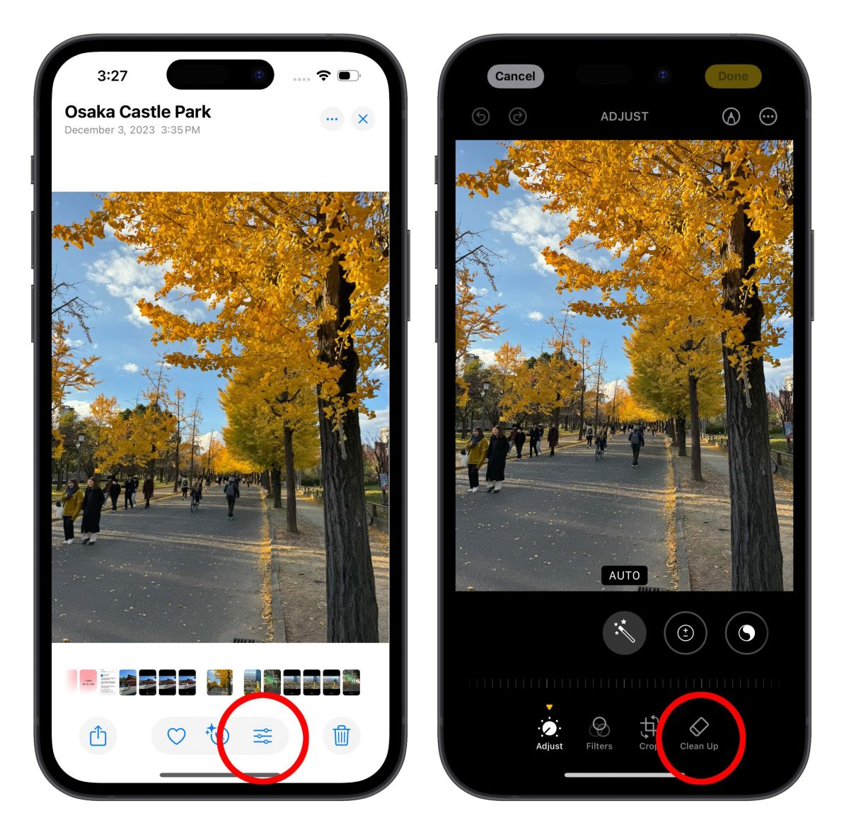 iOS 18.1 Beta 3 发布，Apple Intelligence 照片智慧清除工具正式登场！ - 随时搬砖