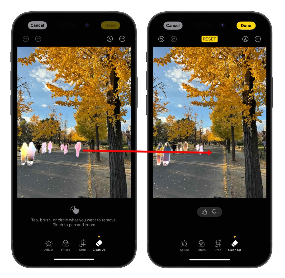 iOS 18.1 Beta 3 发布，Apple Intelligence 照片智慧清除工具正式登场！ - 随时搬砖