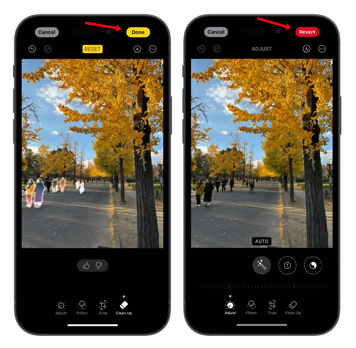 iOS 18.1 Beta 3 发布，Apple Intelligence 照片智慧清除工具正式登场！ - 随时搬砖