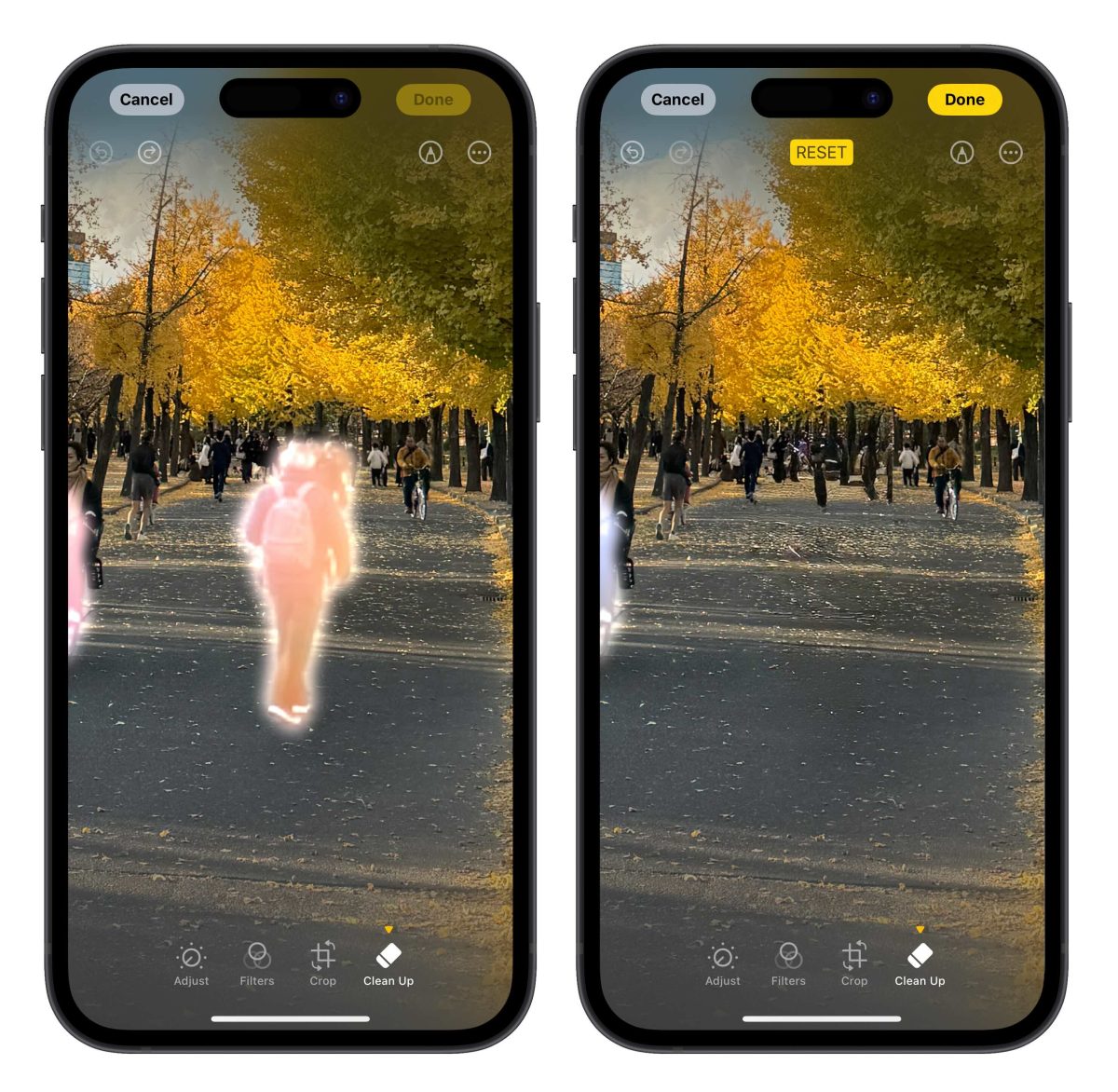 iOS 18.1 Beta 3 发布，Apple Intelligence 照片智慧清除工具正式登场！ - 随时搬砖