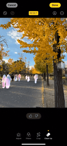 iOS 18.1 Beta 3 发布，Apple Intelligence 照片智慧清除工具正式登场！ - 随时搬砖