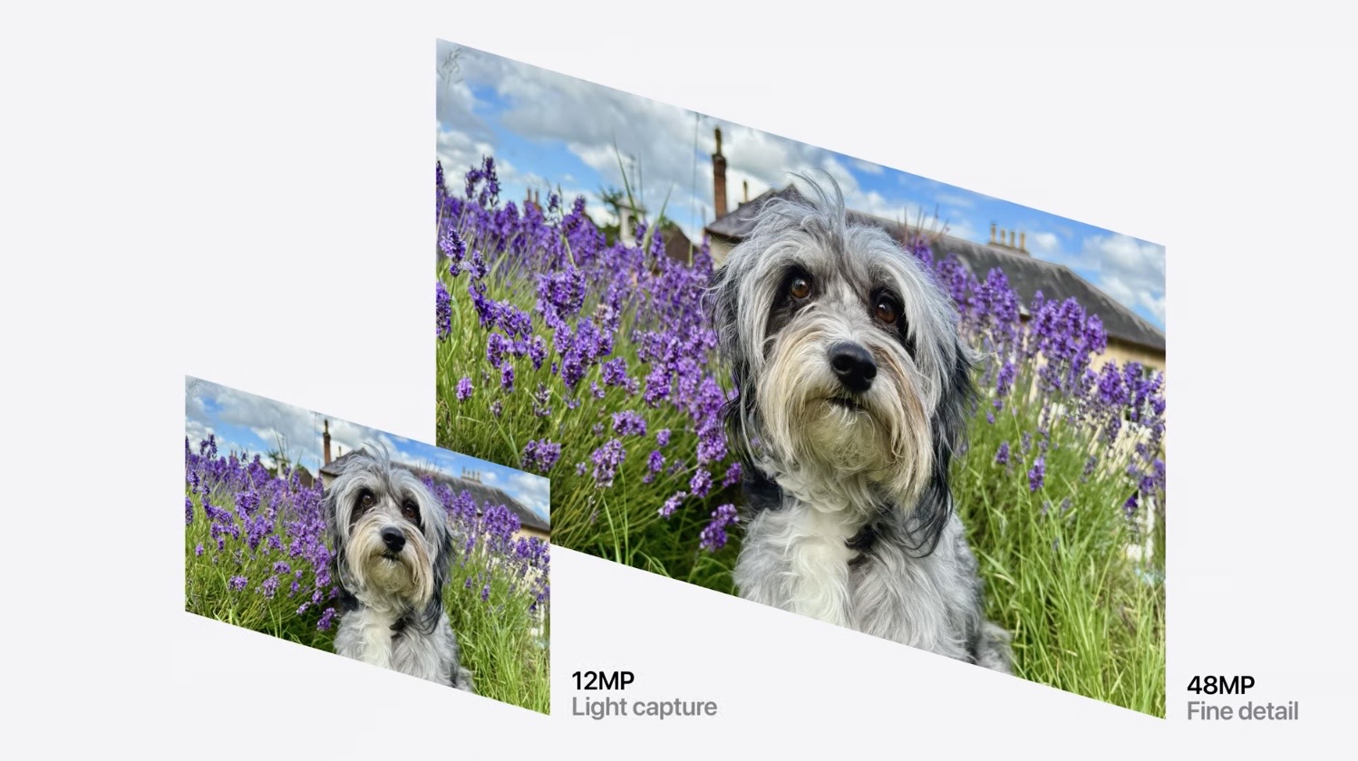 iPhone 16、iPhone 16 Pro 发表会懒人包：颜色、规格、价钱一次看 - 随时搬砖